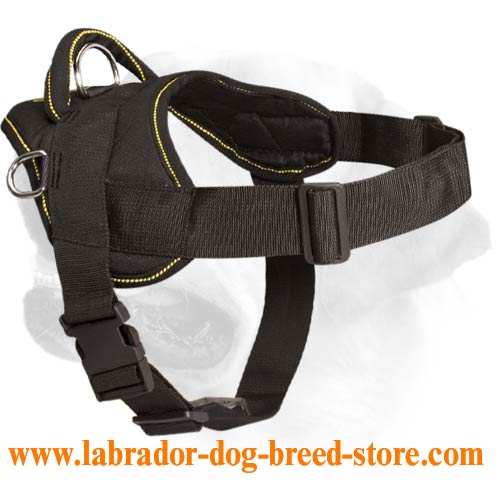 Multifunctional Lightweight Nylon Harness For Labrador