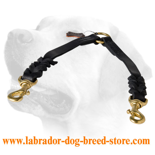 Braided Leather Coupler For Walking 2 Dogs