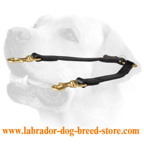 Stitched Leather Labrador Coupler For Easy Walking