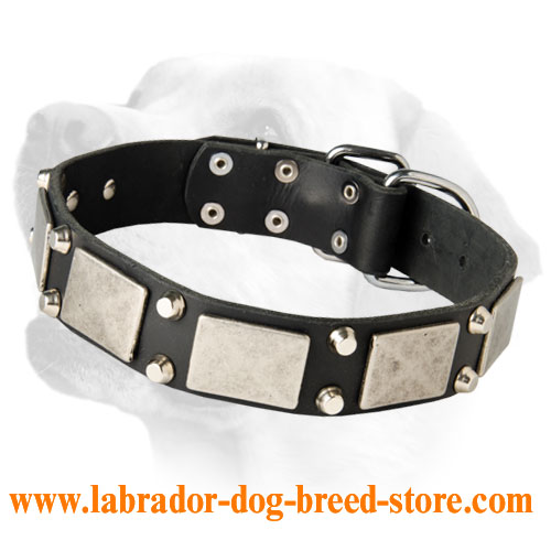 Ultra Strong Exclusive Leather Collar For Handling Large and Sturdy Labradors