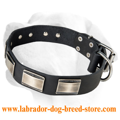Labrador Luxurious Leather Collar Decorated With Carved Plates