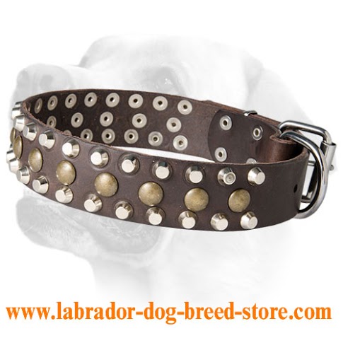 Gorgeous Wide Leather Dog Collar With Decoration