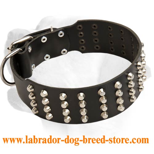 Labrador Extra Wide Leather Collar With Silver Drops Decoration