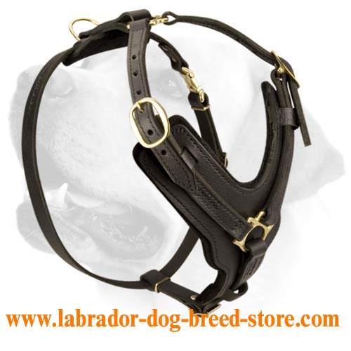 Labrador Exclusive Luxury Handcrafted Padded Leather Dog Harness - Click Image to Close