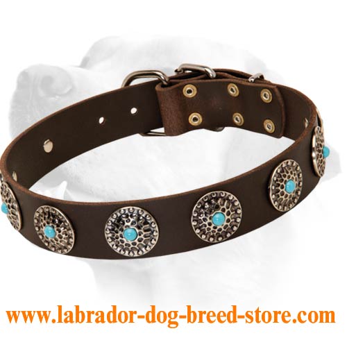 Labrador Luxury Leather Collar With blue Stones