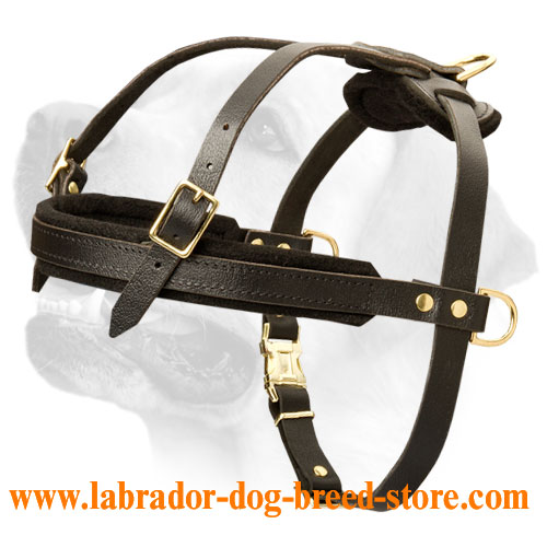 Labrador Professional Pulling Leather Harness
