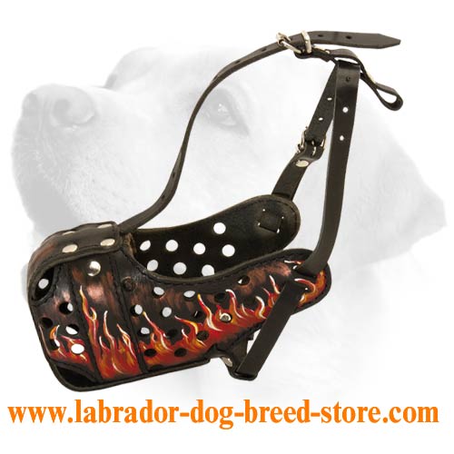 Hand Painted Everyday Leather Muzzle For Labrador