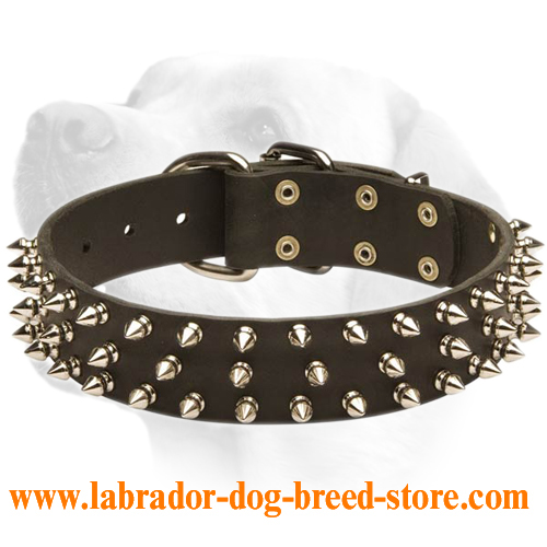 3 Rows Spikes Decorative Collar For Labrador - Click Image to Close