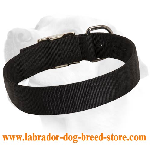 Basic Nylon Collar For Labrador