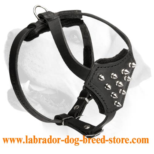 Bright and Stylish Puppy Harness For Labrador