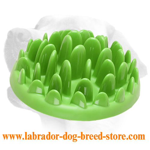 Bright Color Labrador Feeder For Slow Eating Made Of Hard Plastic