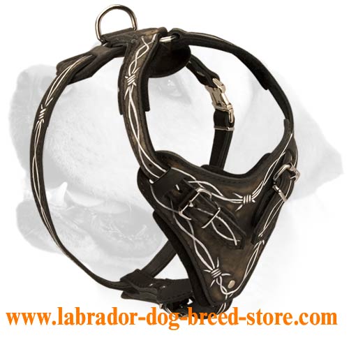 Super Stylish Leather Harness With Barbed Wire Handmade Painting