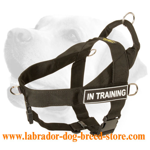 Super Durable Nylon Labrador Harness