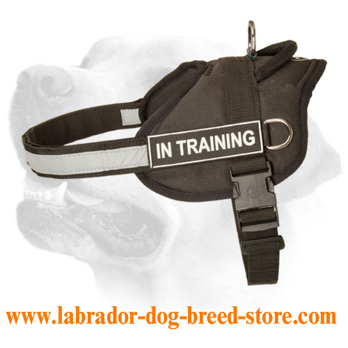 Labrador Multi Weather Nylon Harness With ID Patch And Reflective Strap