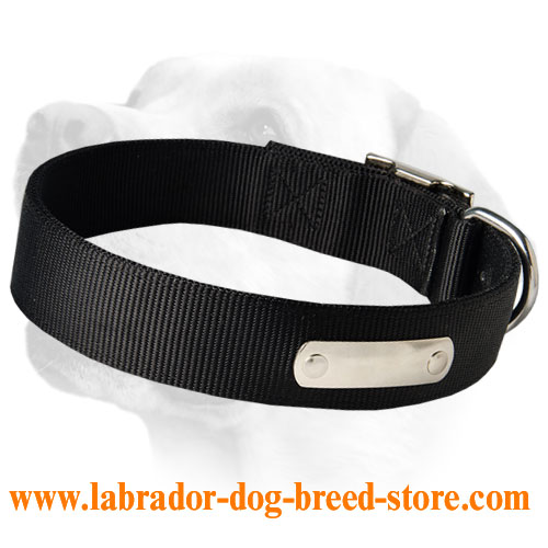 Great Identifying Dog Collar For Labrador With Name Tag