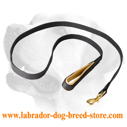 Training/Walking Leather Labrador Leash With Brass Snap Hook