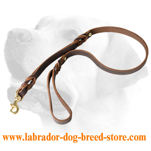 Braided Leather Labrador Leash With Additional Handle
