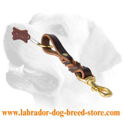 Braided Leather Labrador Leash With Brass Fittings
