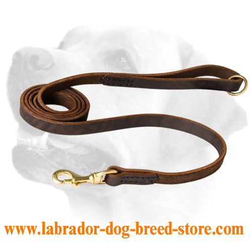 Leather Labrador Leash For Efficient Training