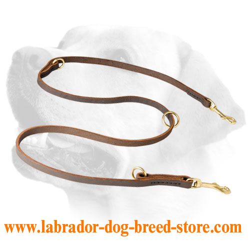 Leather Labrador Leash For Walking And Training