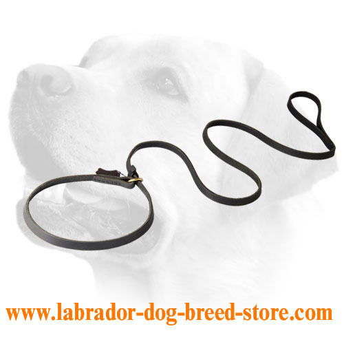 Obedience Training Leather Labrador Leash And Choke Collar