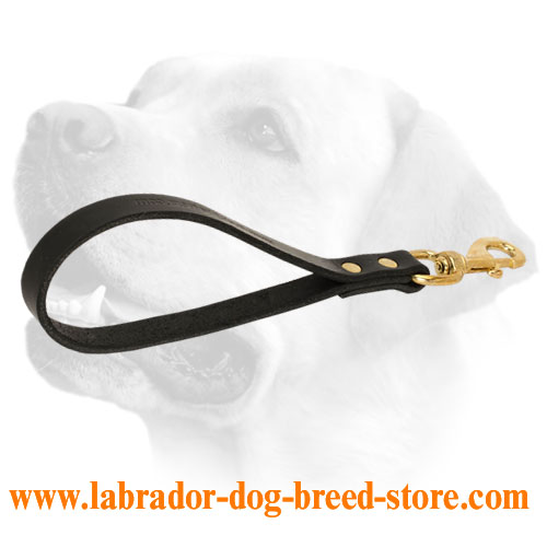 Leather Labrador Leash Padded With Brass Snap Hook