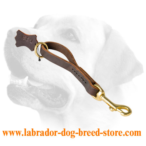 Reliable Leather Labrador Leash For Better Control