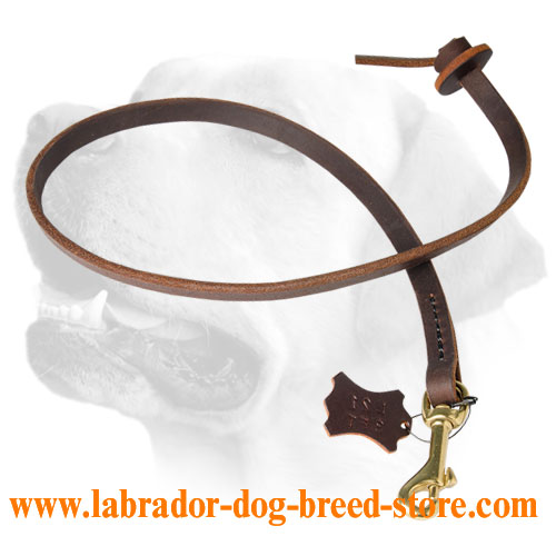 Short Leather Labrador Leash With Circle Handle