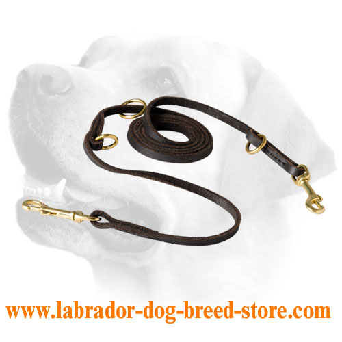 Stitched Leather Labrador Leash With Brass Fittings