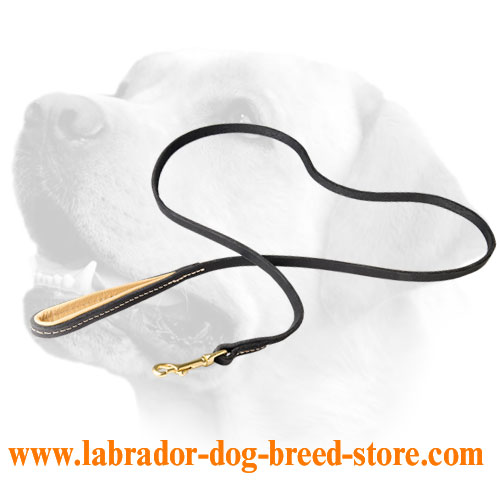 Handmade Leather Labrador Leash For Training