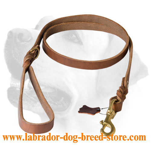 Universal Braided Leather Labrador Leash