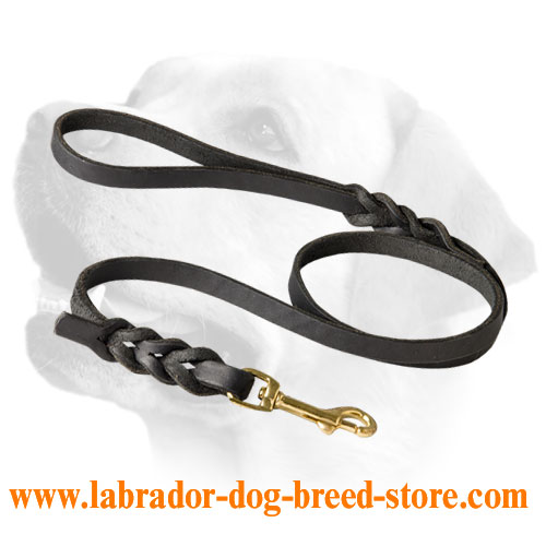 Walking Leather Labrador Leash Adorned With Braids