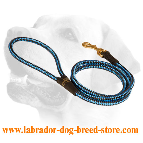 Cord nylon dog leash for Labrador