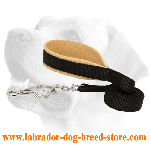 Anti-Rubbing Nylon Labrador Leash For Daily Activities - Click Image to Close