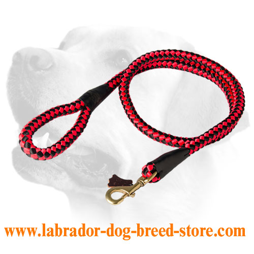 Training Cord Nylon Labrador Leash