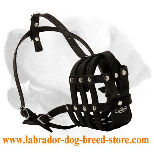 Maxi Air Everyday Leather Muzzle For Labrador
