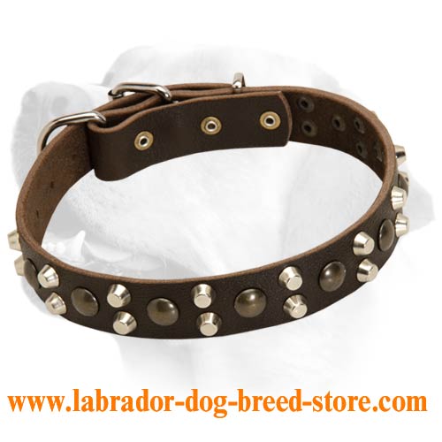 Super Decorative Leather Collar For Labrador