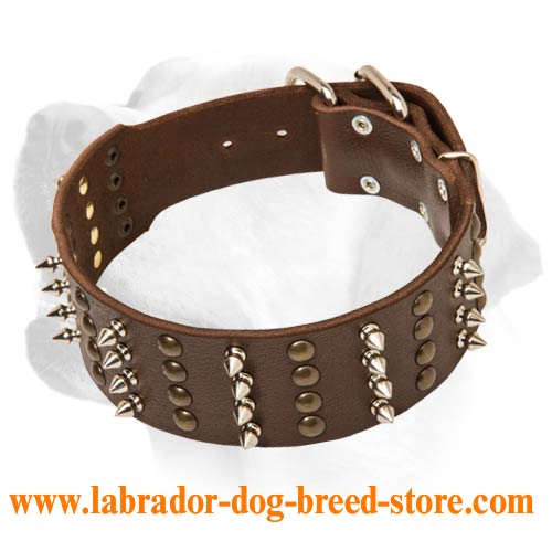 Wide Labrador Leather Collar With Furious Decoration