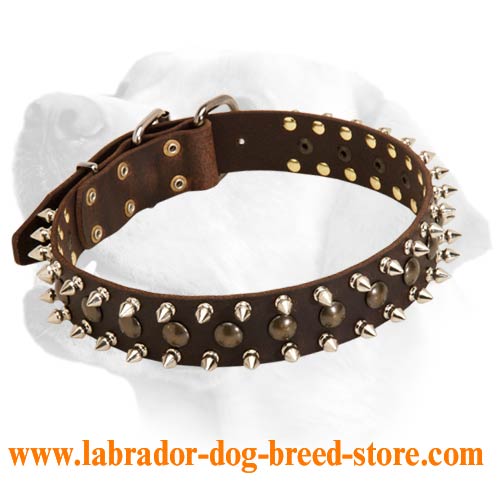 Amazing Dog Leather Collar For Exceptional Labradors