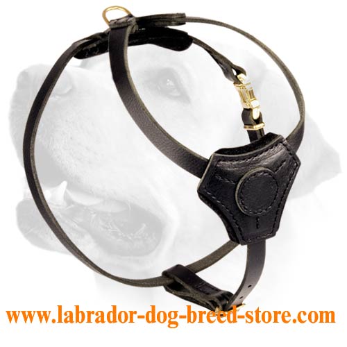 Sport Plus Puppy Leather Harness For Labrador