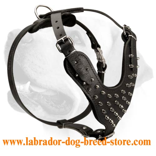 Buy Spiked Dog Harness Manufacturers