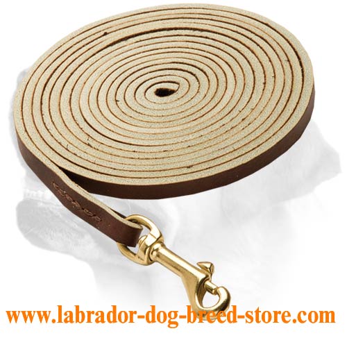 Labrador Extra Long Walking Leash. Labrador Patrolling and Tracking Leash