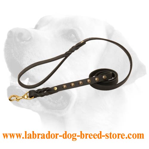 Cute Labrador Leather Lead With Plaited Decoration