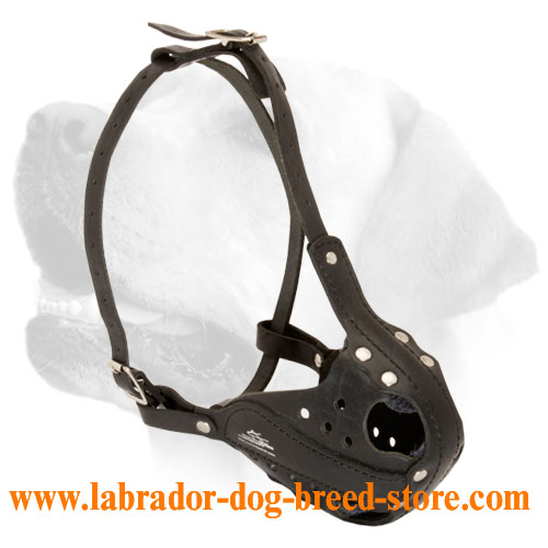 Labrador Heavy Duty Leather Muzzle With Good Air Ventilation