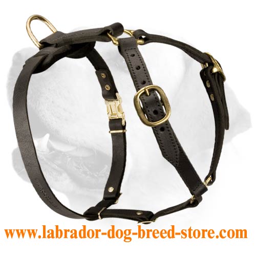 Luxury handcrafted leather dog harness made To Fit Labrador