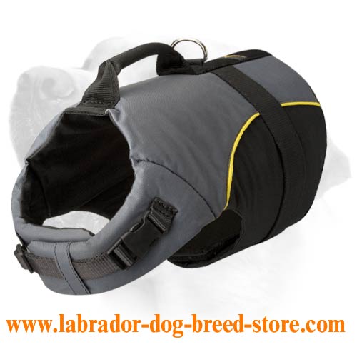 Nylon Chest For Labrador