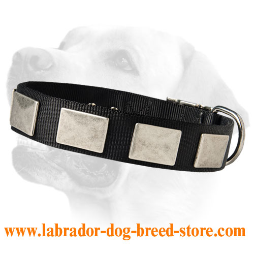 Vintage Look Nylon Collar For Labrador