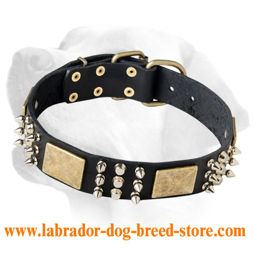 Labrador Leather Collar With Bright and Intricate Decoration