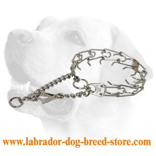Chrome plated steel dog pinch prong collar with swivel and small snap hook 50146 02 1 6 inch 3.9 mm
