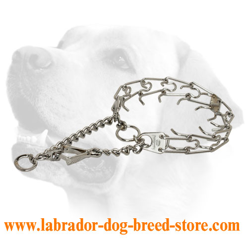 https://www.labrador-dog-breed-store.com/images/large/Labrador-Pinch-Collar-Herm-Sprenger-with-Swivel-HS35_LRG.jpg